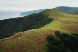 Funchal: Vereda do Fanal PR13 Vandring med transfer och guide