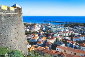 Funchal: Best Viewpoints Guided Tuk Tuk Tour