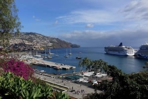 Funchal: Best Viewpoints Guided Tuk Tuk Tour