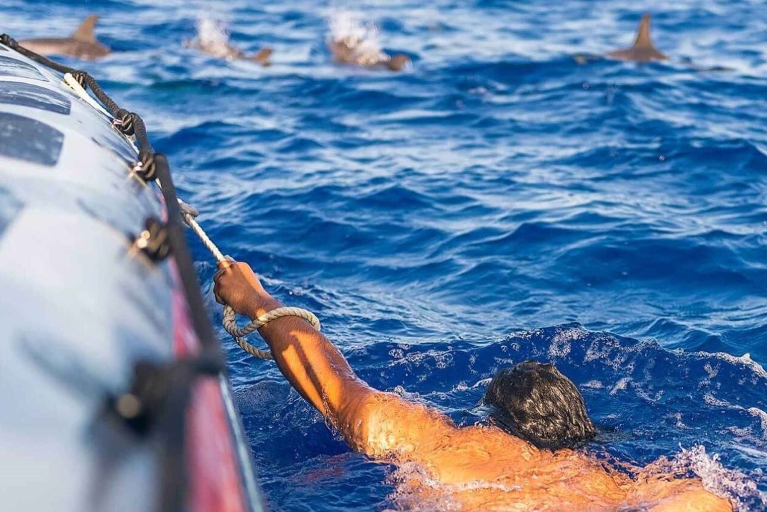 Funchal: Hvalsafari og svømming med delfiner