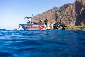 Funchal: Wreck dive F488 Frigate - certified divers