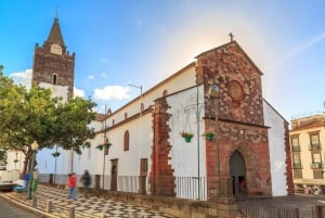 Funchal's Eco Private City Tour