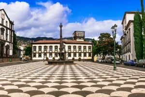 Funchal's Eco Private City Tour