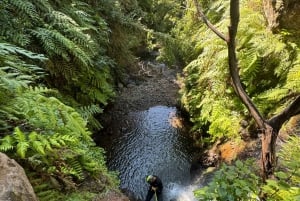 Funchal: Explore Canyoning Level 1 Rochão