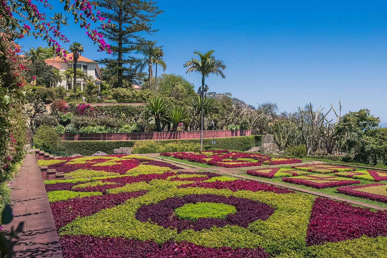 Guidad Tuk-Tuk-tur till Botaniska trädgården (Från Funchal)