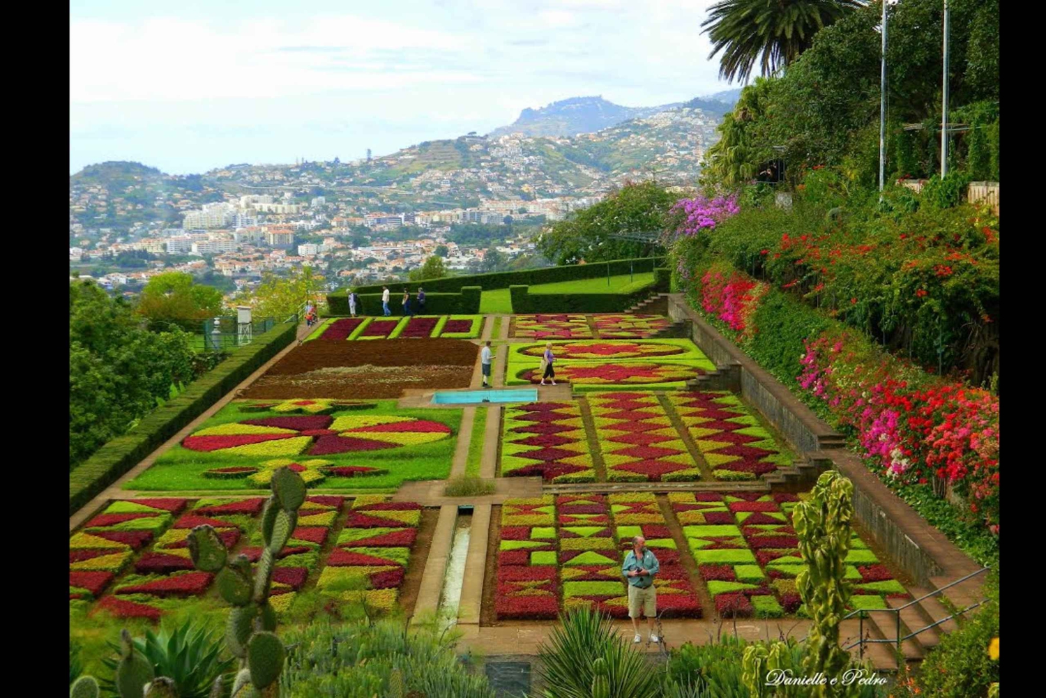 Guidad Tuk-Tuk-tur till Botaniska trädgården (Från Funchal)