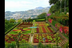 Guidad Tuk-Tuk-tur till Botaniska trädgården (Från Funchal)