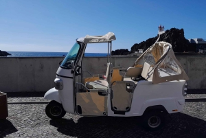 Guidad Tuk-Tuk-tur till Botaniska trädgården (Från Funchal)