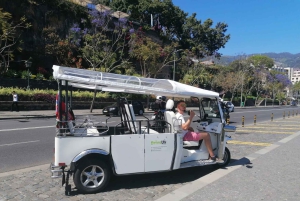 Guidad Tuk-Tuk-tur till Botaniska trädgården (Från Funchal)