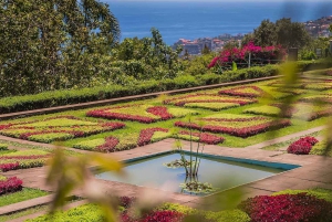 Guidad Tuk-Tuk-tur till Botaniska trädgården (Från Funchal)