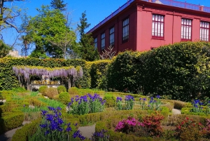 Guidad Tuk-Tuk-tur till Botaniska trädgården (Från Funchal)