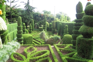 Guidad Tuk-Tuk-tur till Botaniska trädgården (Från Funchal)