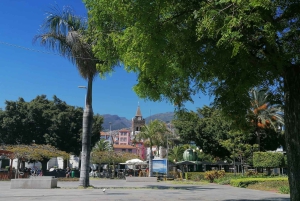 Guidad Tuk-Tuk-tur till Botaniska trädgården (Från Funchal)