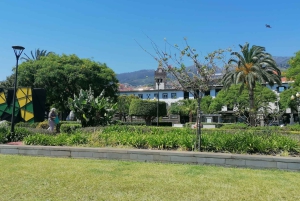 Guidad Tuk-Tuk-tur till Botaniska trädgården (Från Funchal)