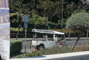 Guidad Tuk-Tuk-tur till Botaniska trädgården (Från Funchal)
