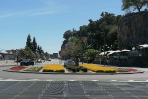 Guidad Tuk-Tuk-tur till Botaniska trädgården (Från Funchal)
