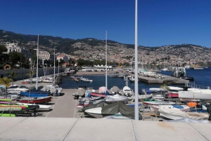 Guidad Tuk-Tuk-tur till Botaniska trädgården (Från Funchal)