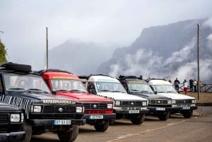 Half Day Central - Câmara de Lobos - Jardim da Serra