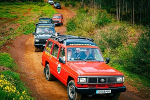 Halvdag i centrum - Câmara de Lobos - Jardim da Serra