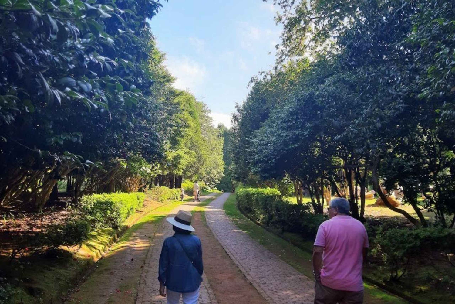 Halvdagstur til markedet på øya Madeira