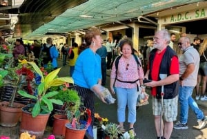 Half-Day Country Market Tour on Madeira Island