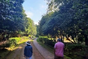 Half-Day Country Market Tour on Madeira Island