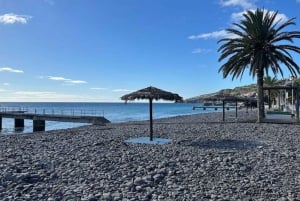 Half-Day Country Market Tour on Madeira Island