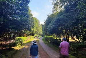Halvdagstur til markedet på øya Madeira