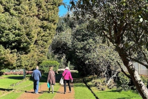 Halvdagstur til markedet på øya Madeira