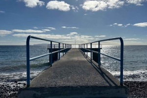Halvdagstur til markedet på øya Madeira