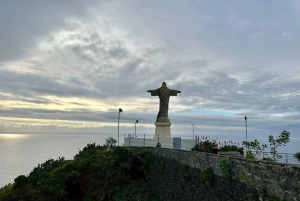 Halvdagstur til markedet på øya Madeira