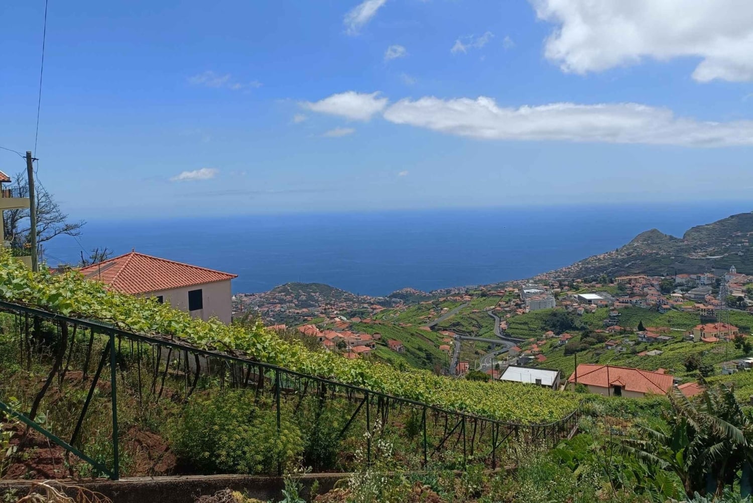 Tour de medio día 4x4 Camara de Lobos Vidrio Vista Botton