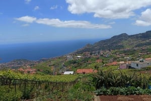 Half Day Tour 4x4 Camara de Lobos Glass Botton View