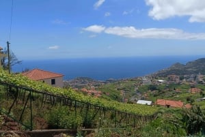 Tour de medio día 4x4 Camara de Lobos Vidrio Vista Botton