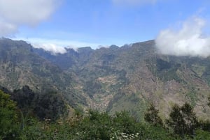 Tour de medio día 4x4 Camara de Lobos Vidrio Vista Botton