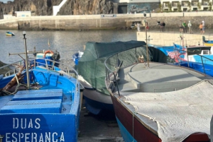 Halvdagstur med Madeiras vinprovning