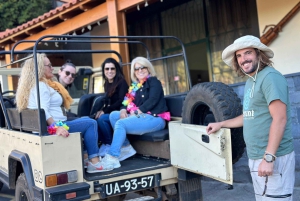 Halvdagstur med Madeiras vinprovning