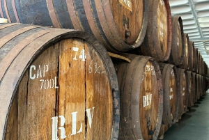 Halvdagstur med Madeiras vinprovning