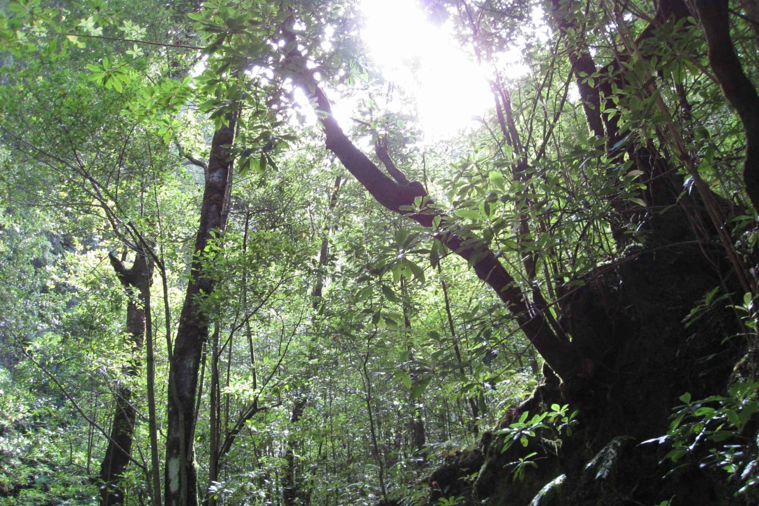 Hidden Corners, The Kings Levada Full day hike