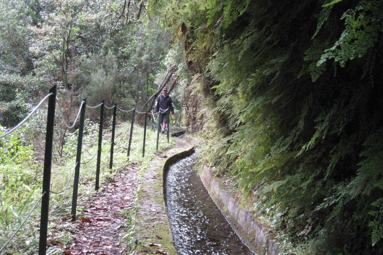 Hidden Corners, The Kings Levada Full day hike