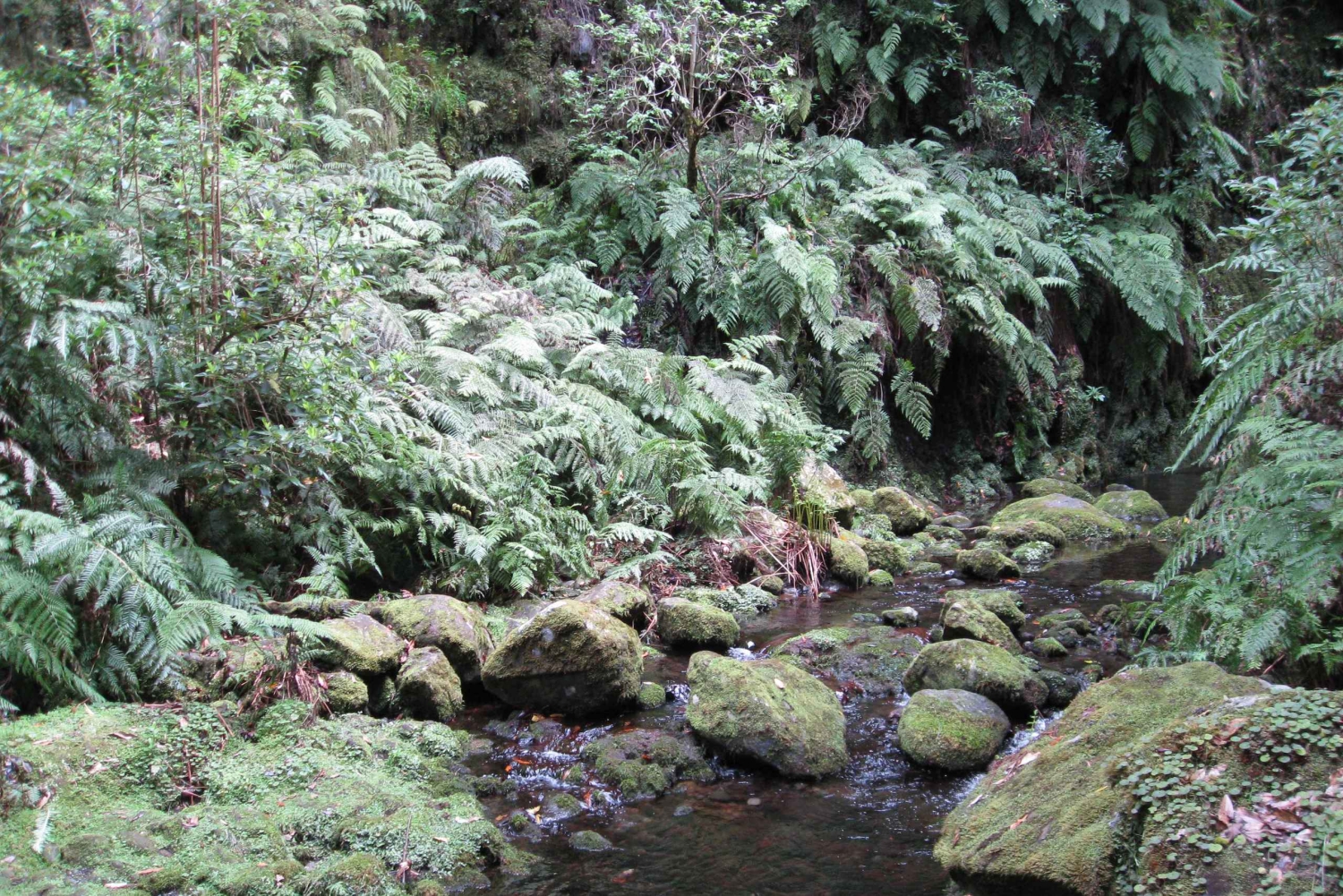 Hidden Corners, The Kings Levada Full day hike