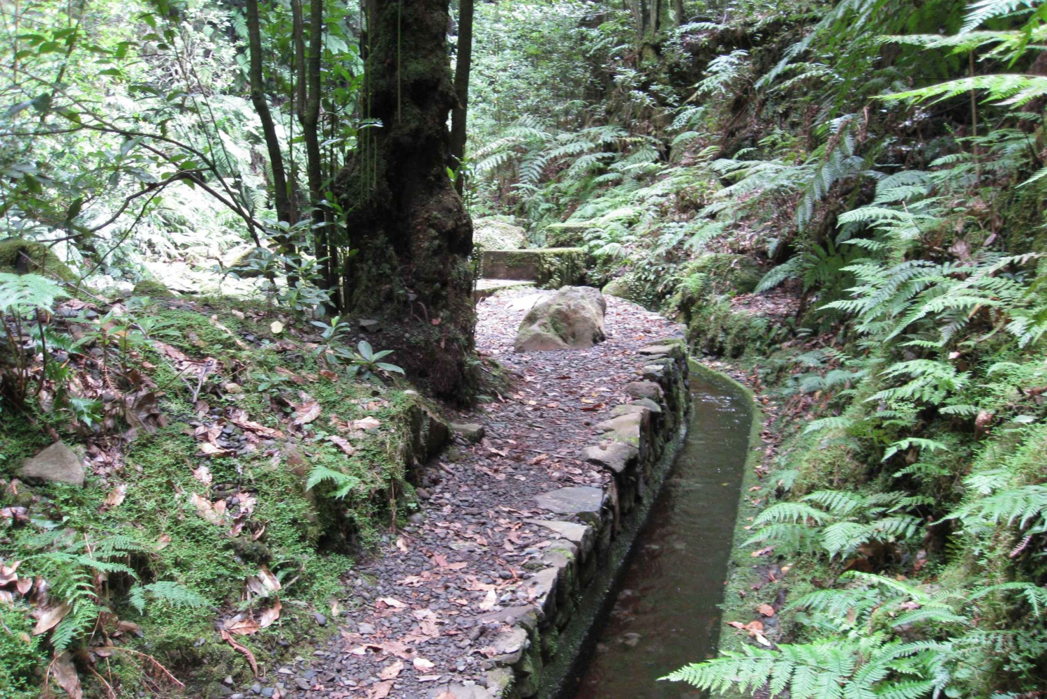 Hidden Corners, The Kings Levada Full day hike