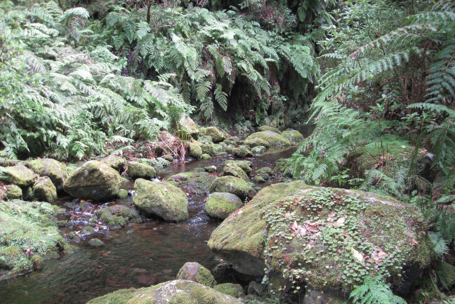 Hidden Corners, The Kings Levada Full day hike