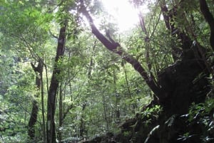 Hidden Corners, The Kings Levada Full day hike