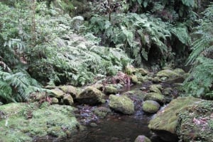 Hidden Corners, The Kings Levada Full day hike