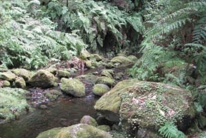 Hidden Corners, The Kings Levada Full day hike