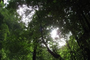 Hidden Corners, The Kings Levada Full day hike