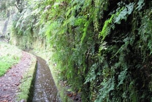 Hidden Corners, The Kings Levada Full day hike