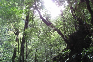 Hidden Corners, The Kings Levada Full day hike