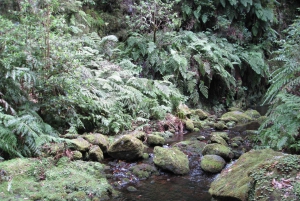 Hidden Corners, The Kings Levada Full day hike